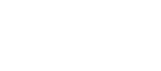 HERMES logo